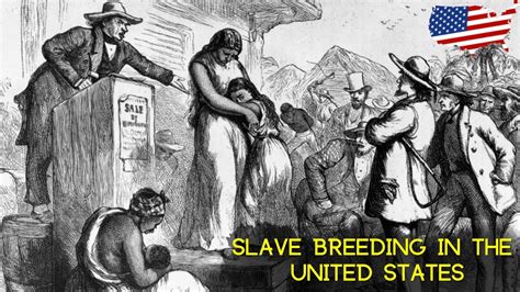 slave breeding